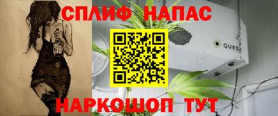 Альфа ПВП Ливны